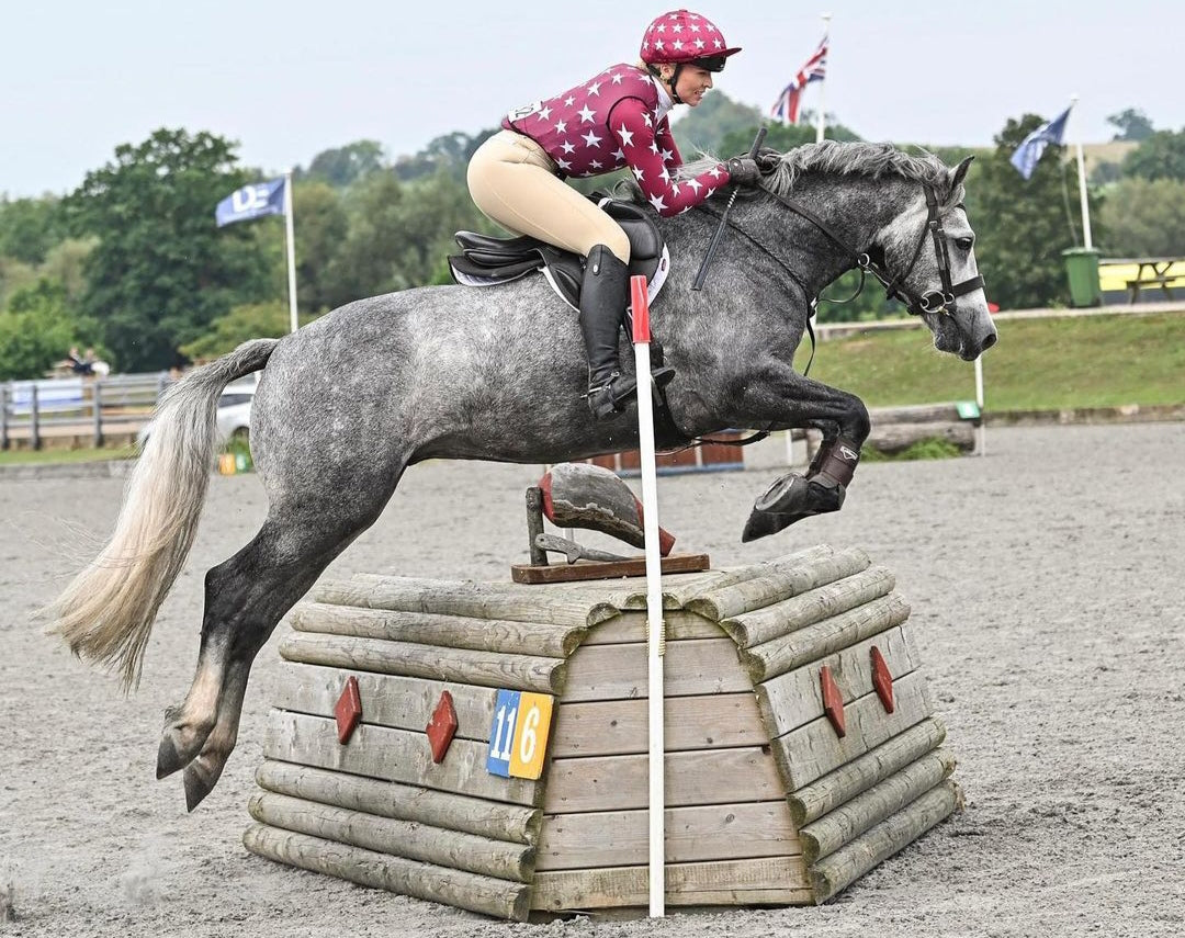 Sophia Show Breeches